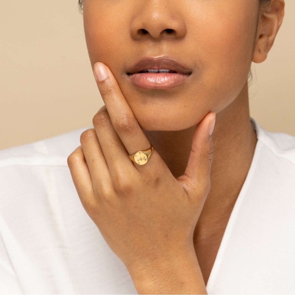 Mejuri Zodiac Pisces Signet Ring